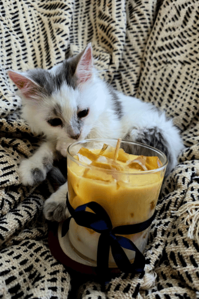 Doamne, geniala lumanarea aia!!!🤍 Si cum miroaseee!