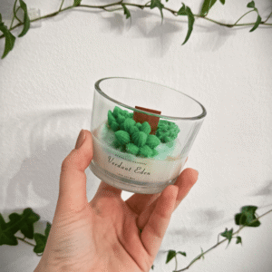 Lumanare Planta Suculenta - Verdant Eden